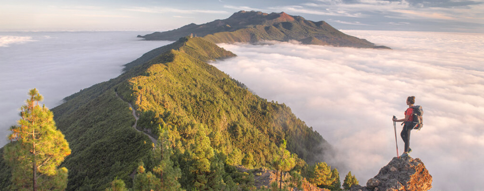La Palma.jpg
